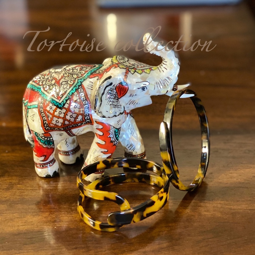 Tortoise Bracelets 2 Style Wrap Around & Open Belt